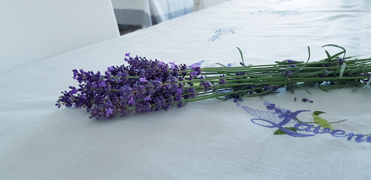 Sweet Life Wellness Apartments إيغيرسولوك المظهر الخارجي الصورة