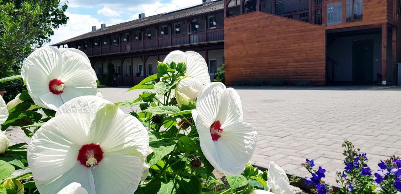 Sweet Life Wellness Apartments إيغيرسولوك المظهر الخارجي الصورة